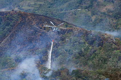 Por tierra, más de 5 mil efectivos, bomberos y brigadistas están desplegados en las regiones afectadas